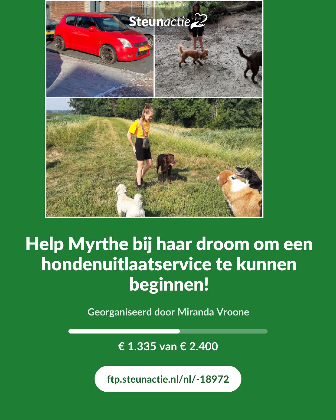 Voorbeeld van de afbeelding