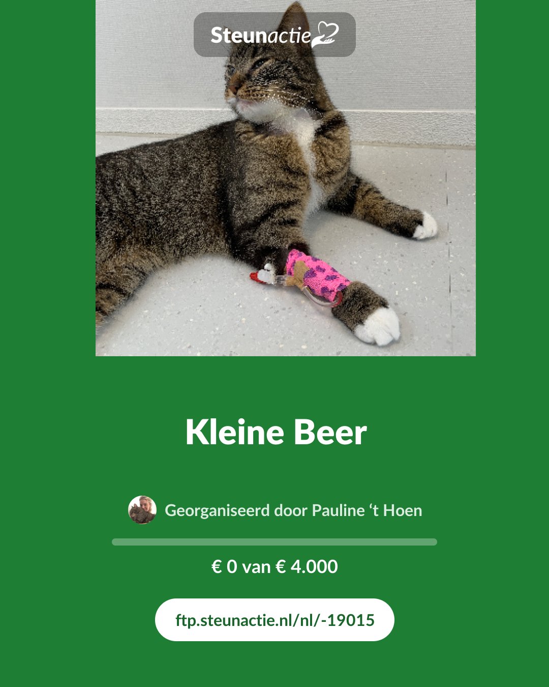 Voorbeeld van de afbeelding
