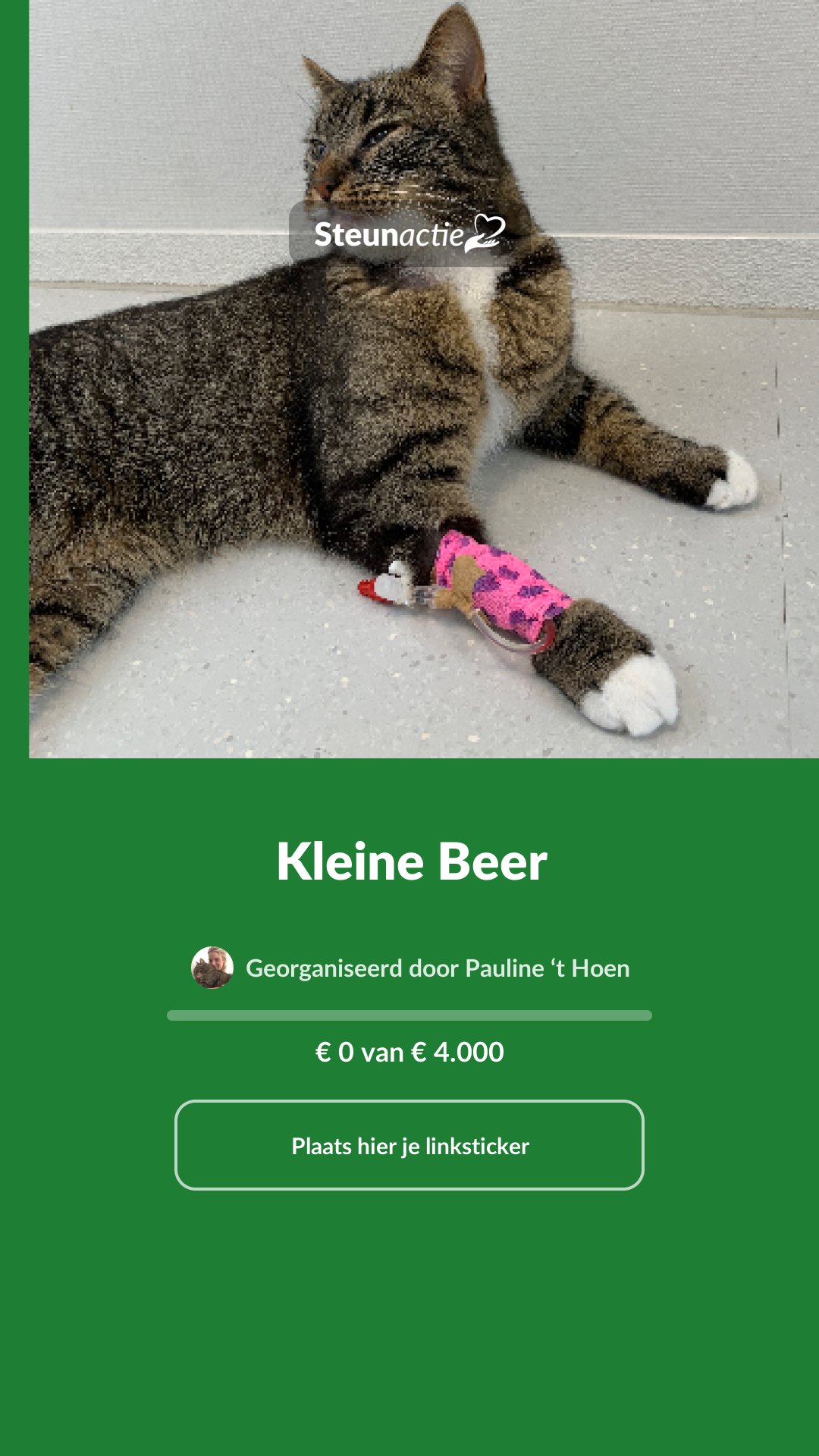 Voorbeeld van de afbeelding