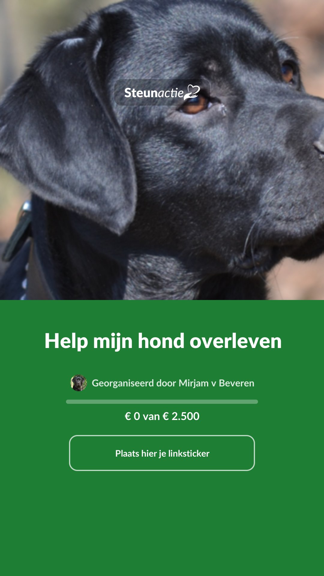 Voorbeeld van de afbeelding
