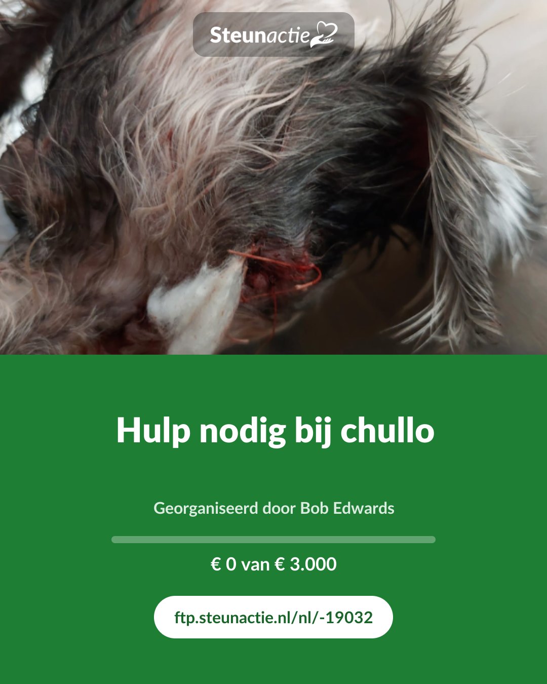 Voorbeeld van de afbeelding