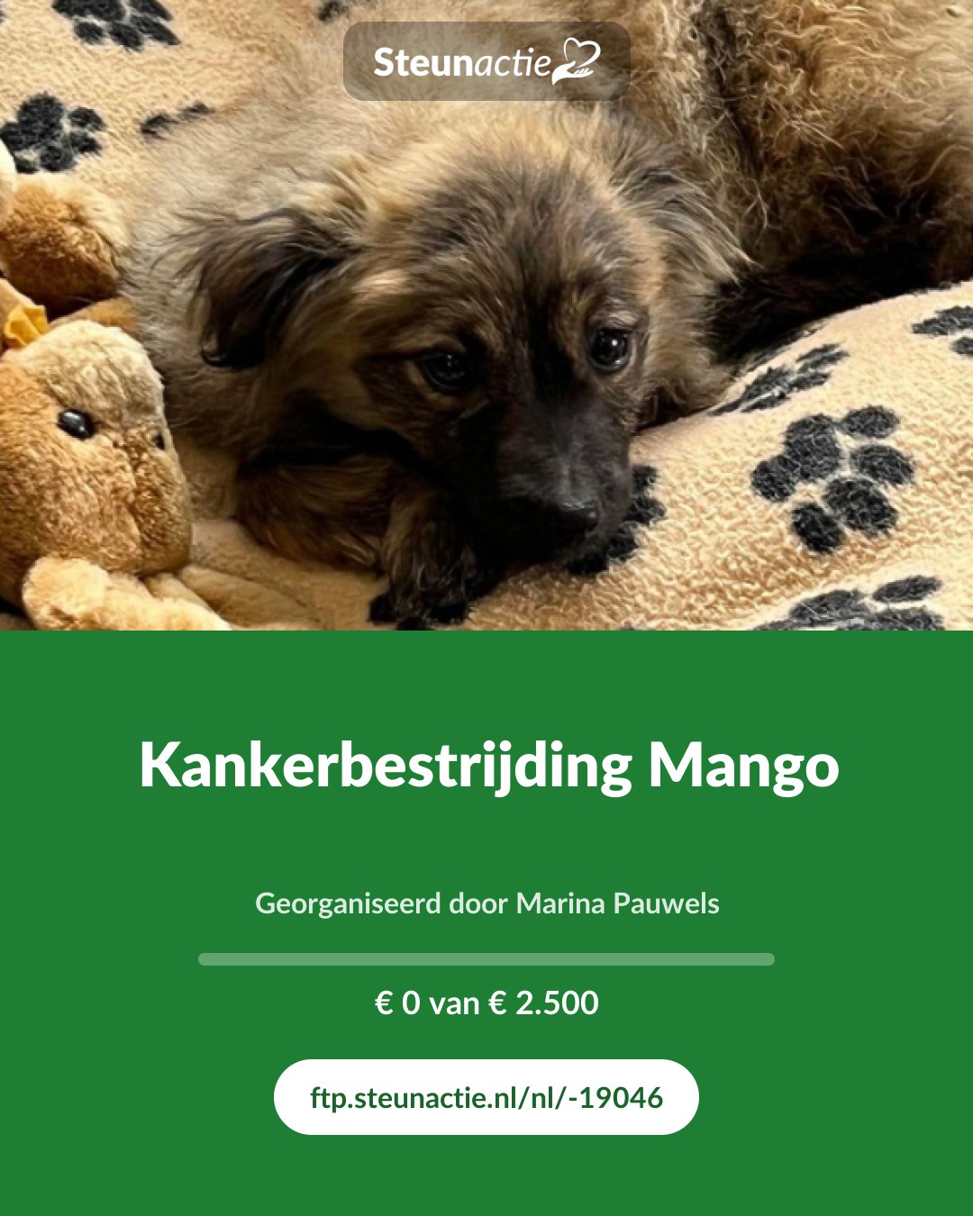 Voorbeeld van de afbeelding