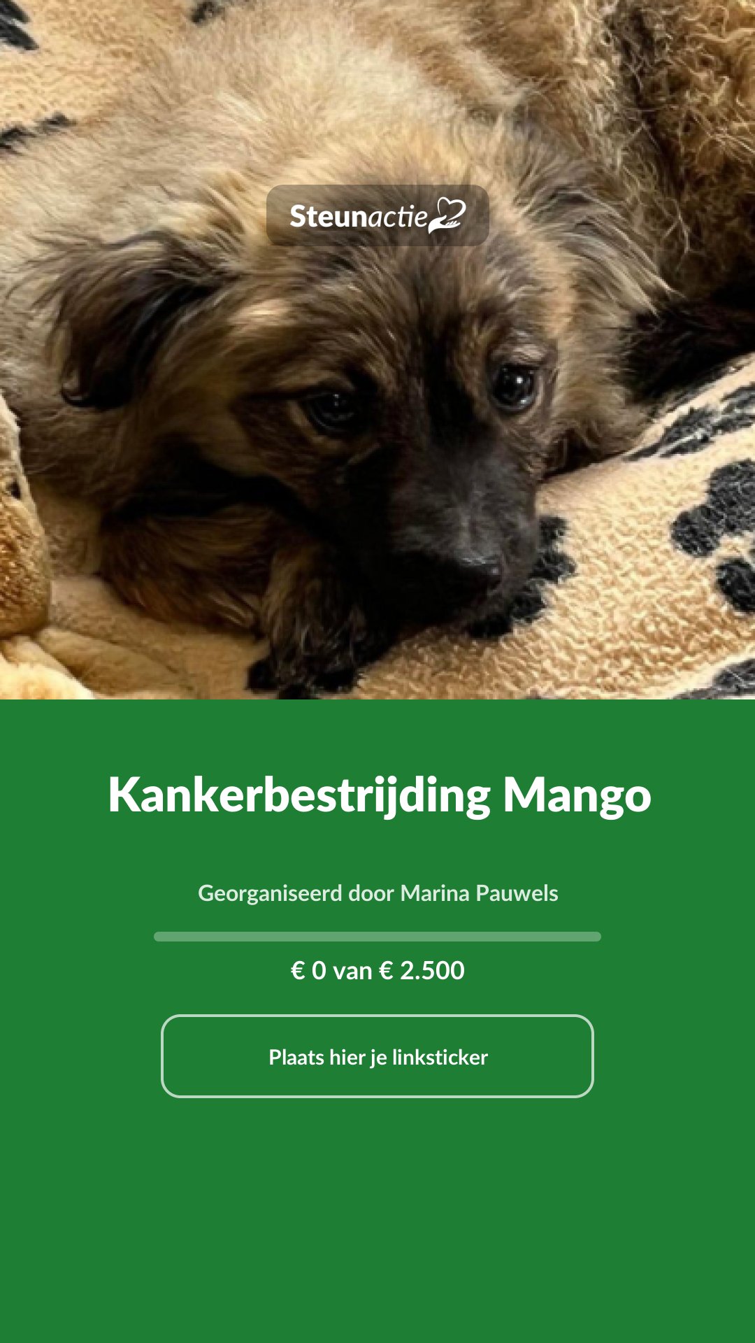 Voorbeeld van de afbeelding