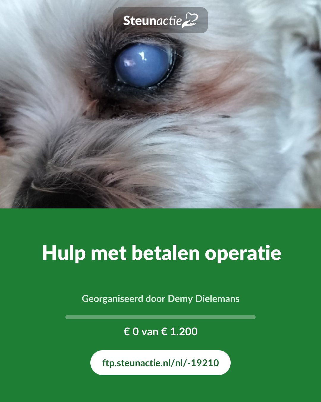 Voorbeeld van de afbeelding