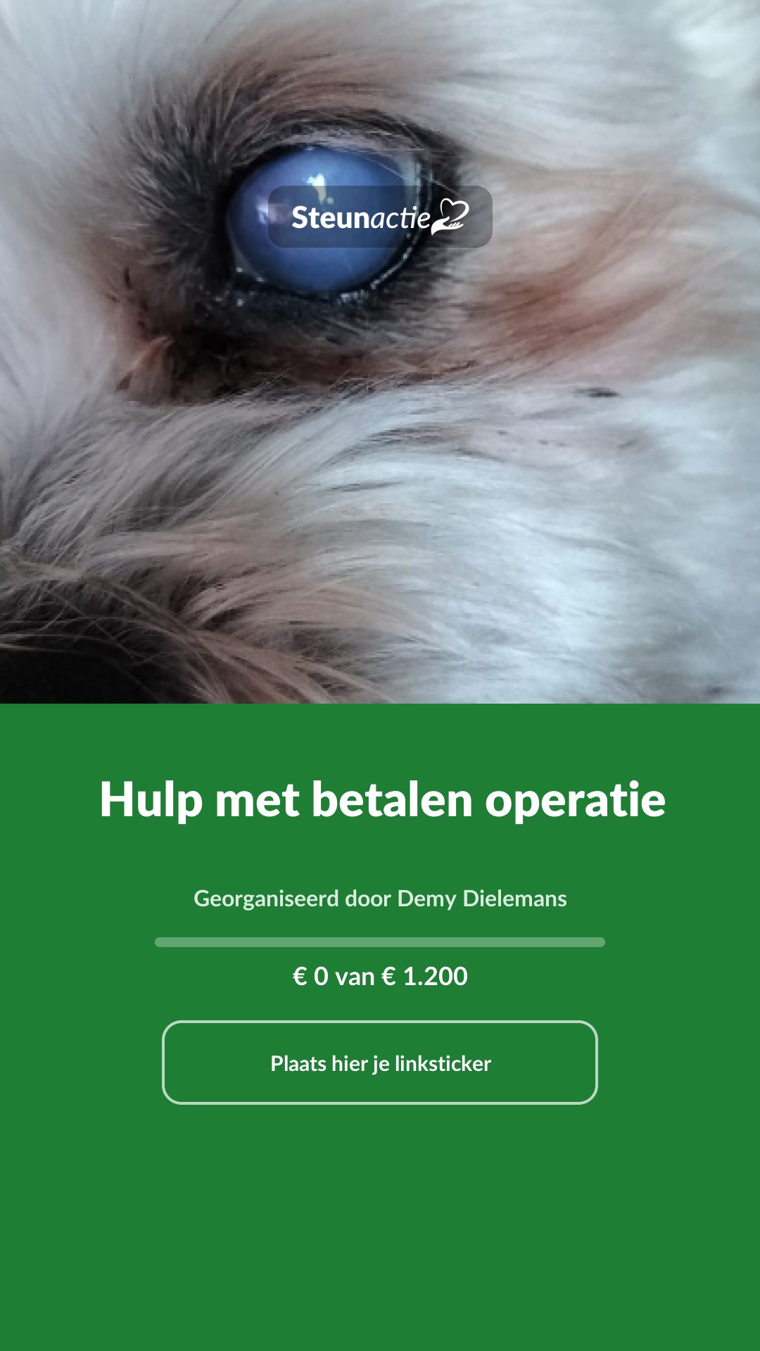 Voorbeeld van de afbeelding