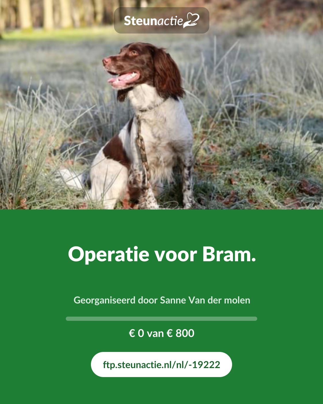 Voorbeeld van de afbeelding