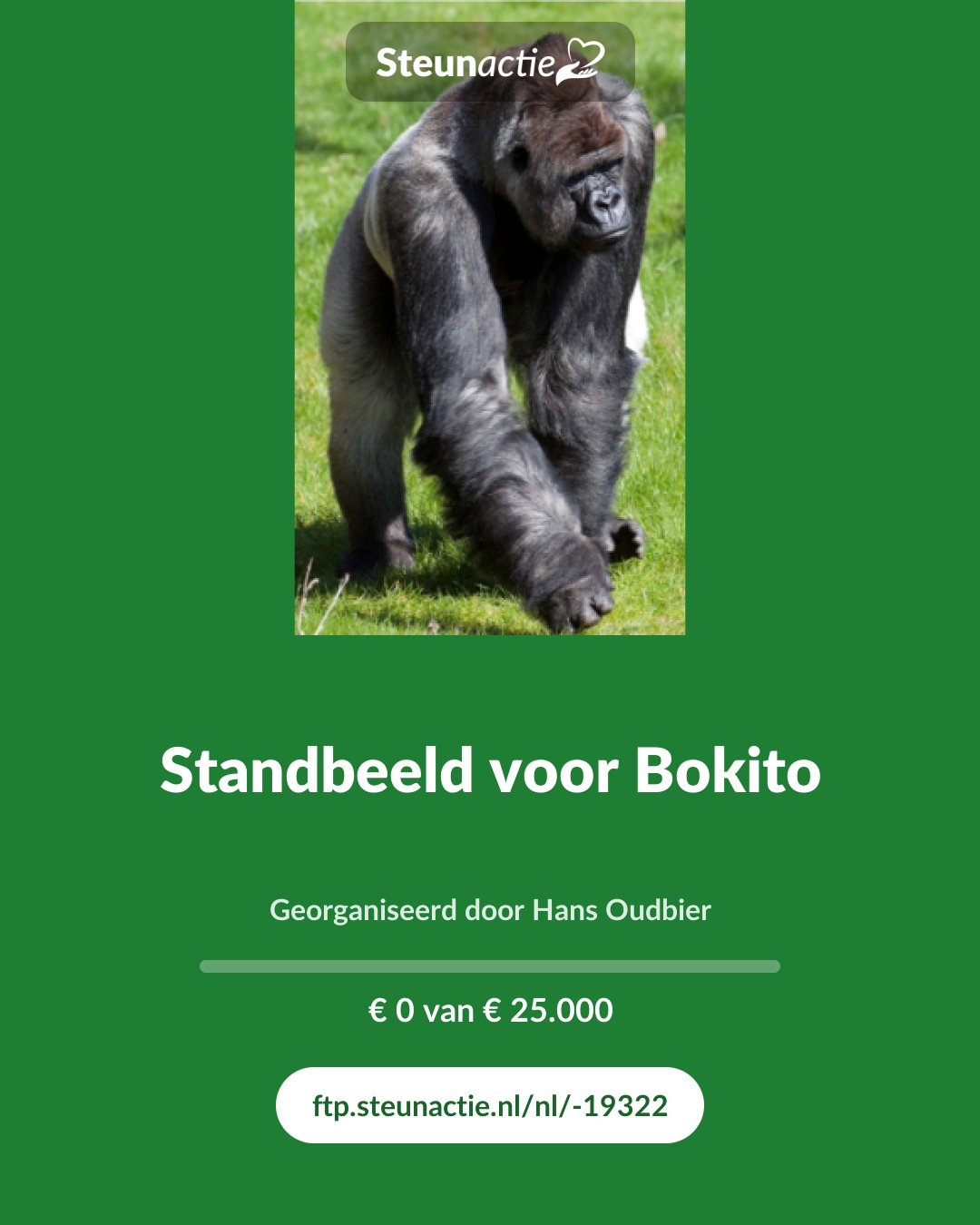 Voorbeeld van de afbeelding