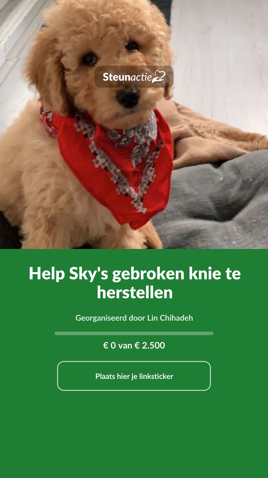 Voorbeeld van de afbeelding