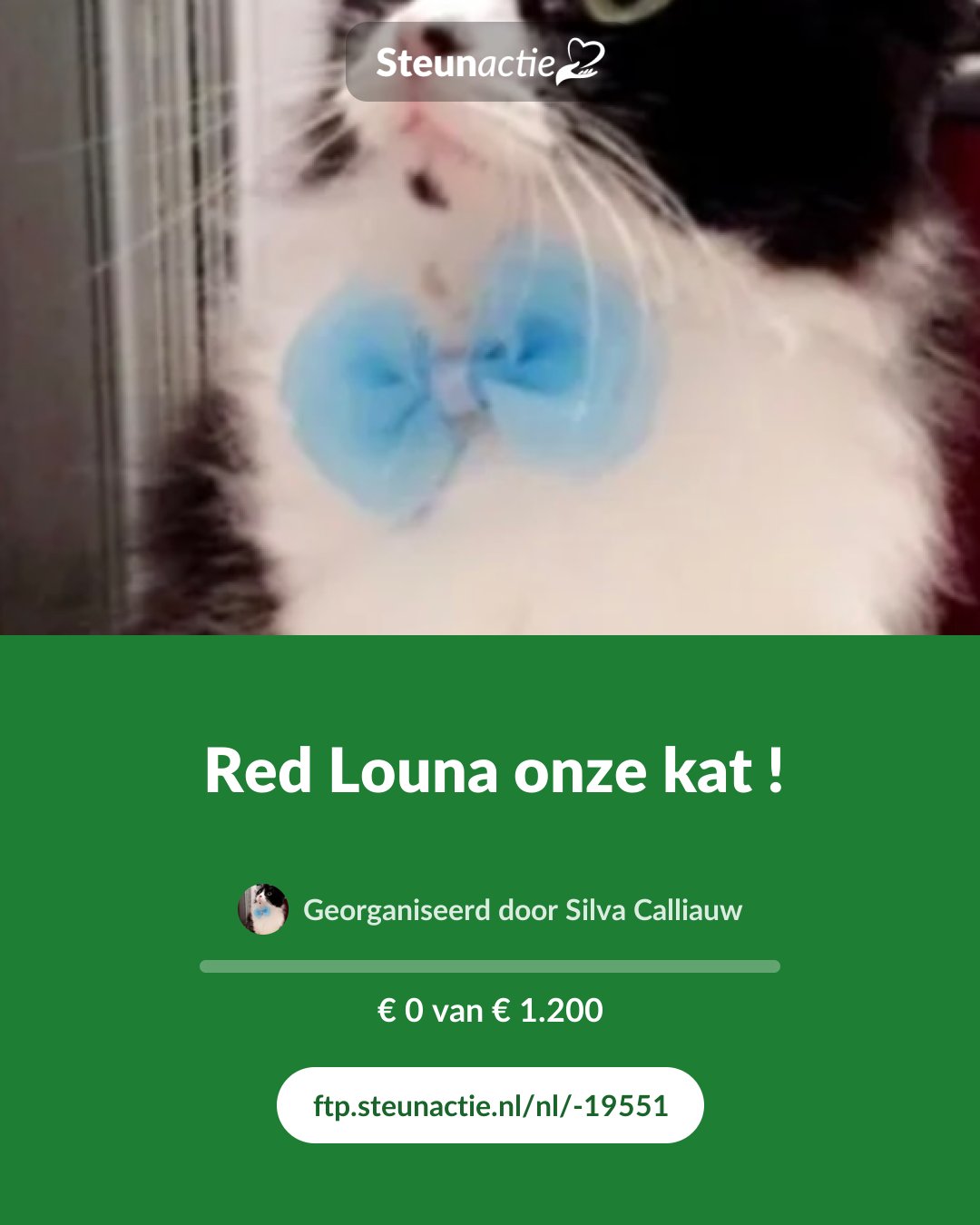 Voorbeeld van de afbeelding
