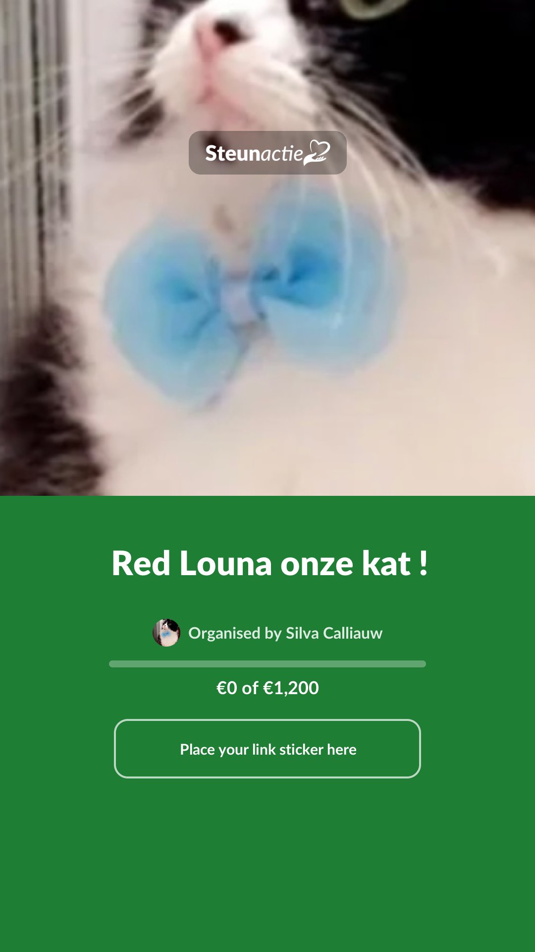 Preview of the image