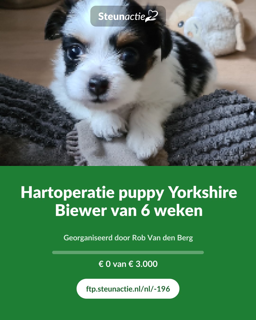 Voorbeeld van de afbeelding