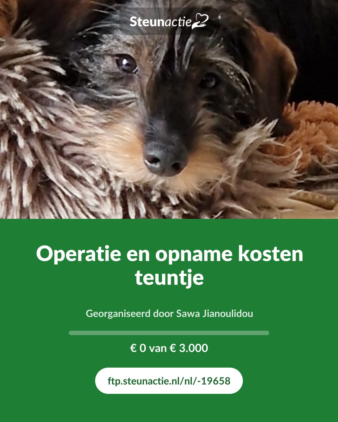 Voorbeeld van de afbeelding