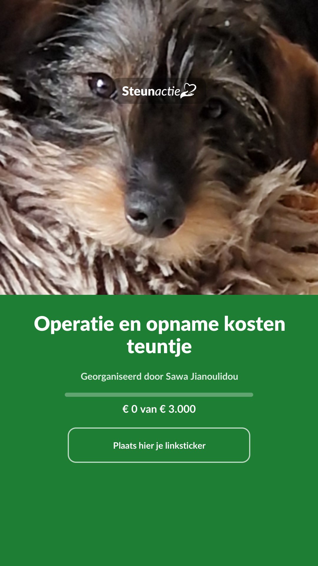 Voorbeeld van de afbeelding