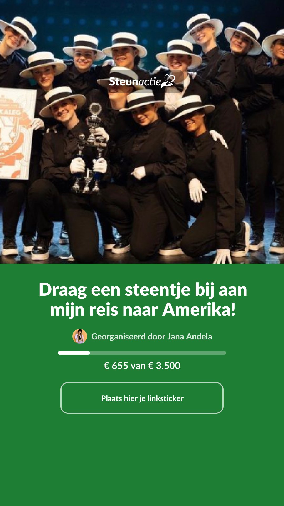 Voorbeeld van de afbeelding