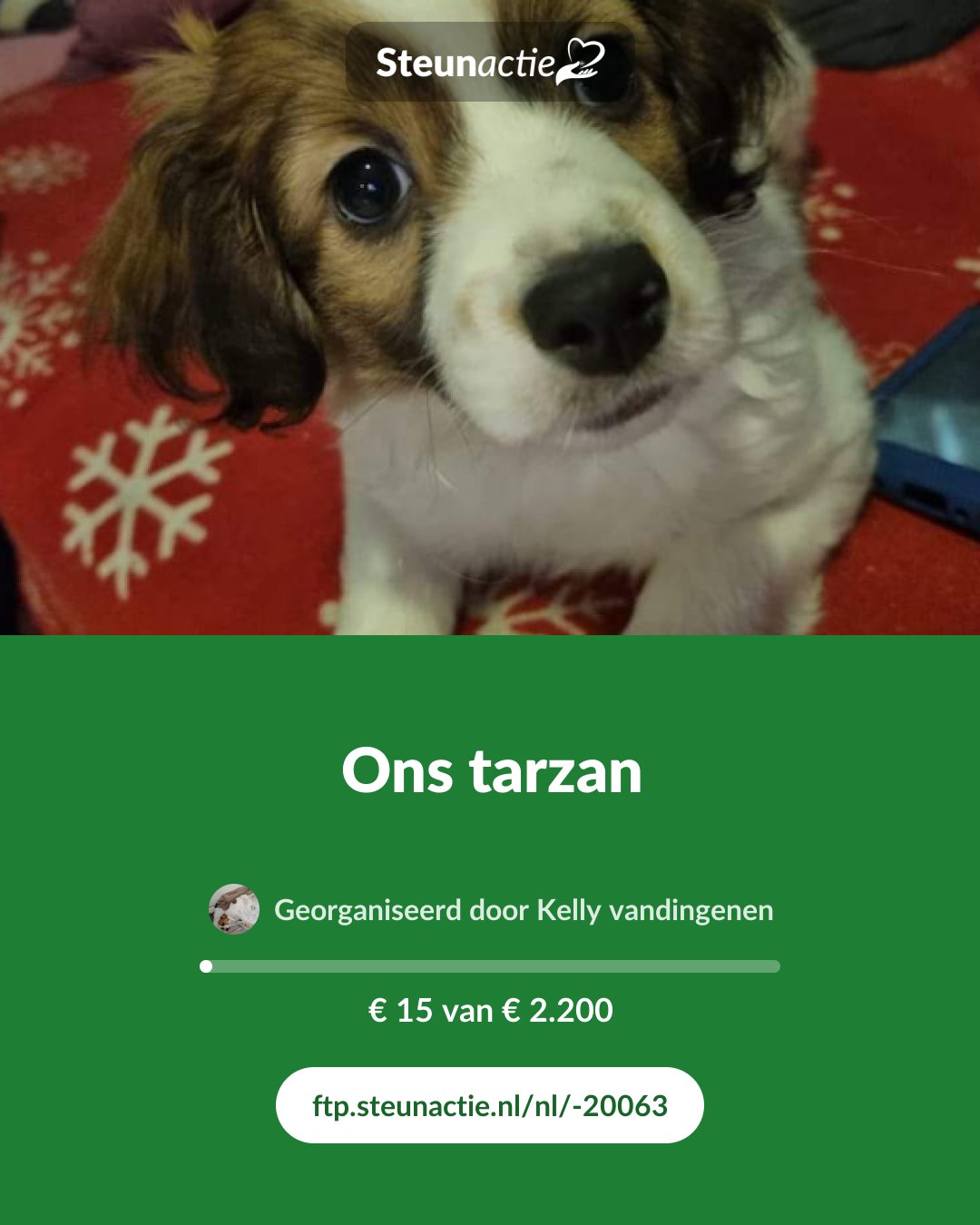Voorbeeld van de afbeelding