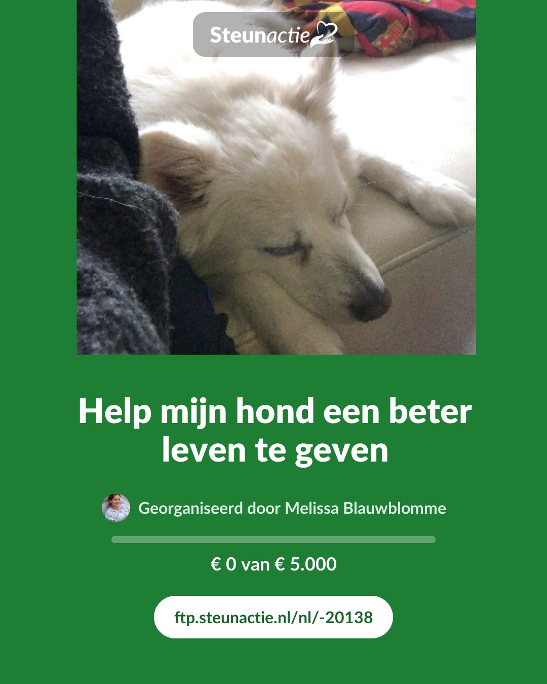Voorbeeld van de afbeelding