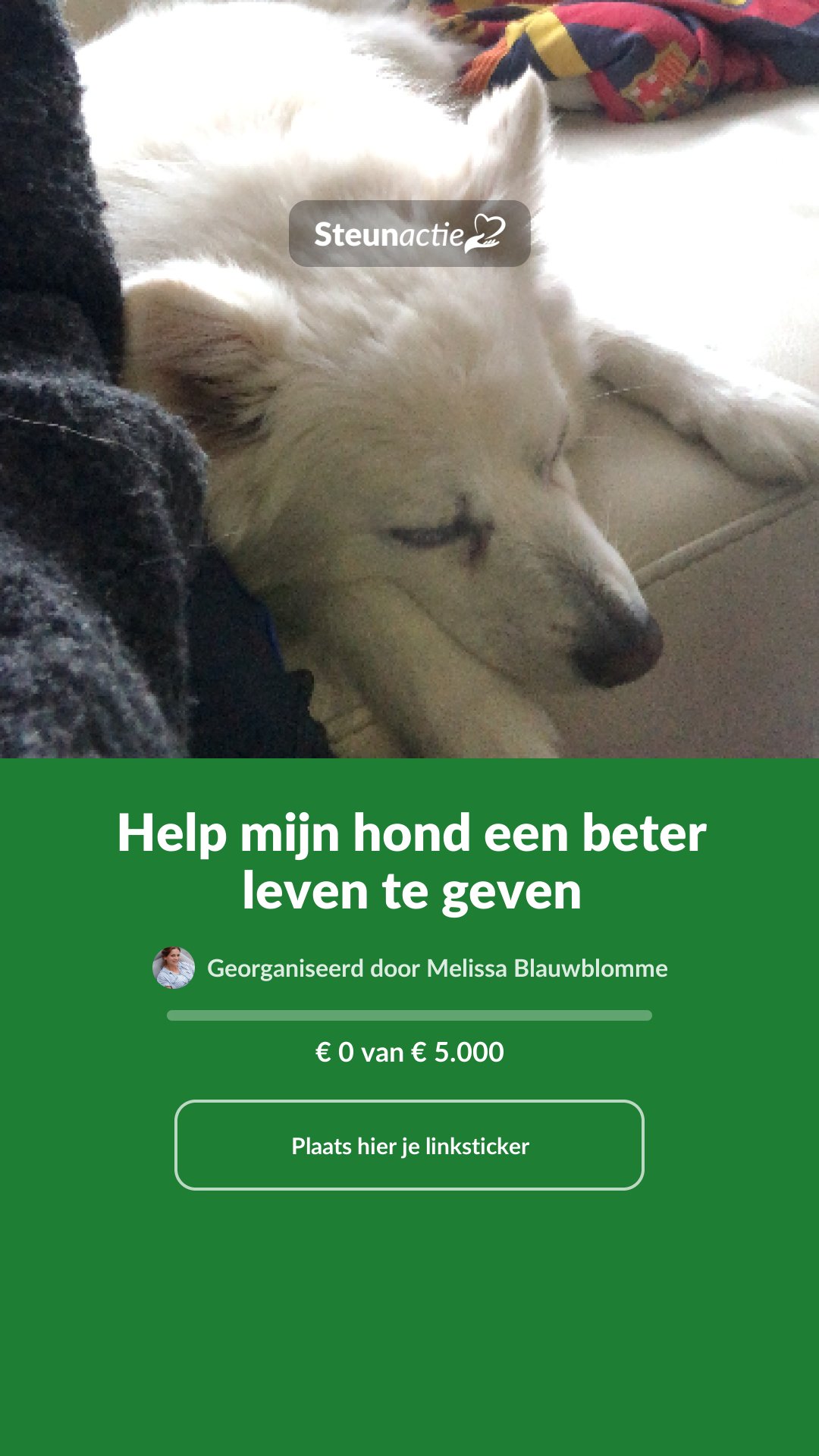 Voorbeeld van de afbeelding