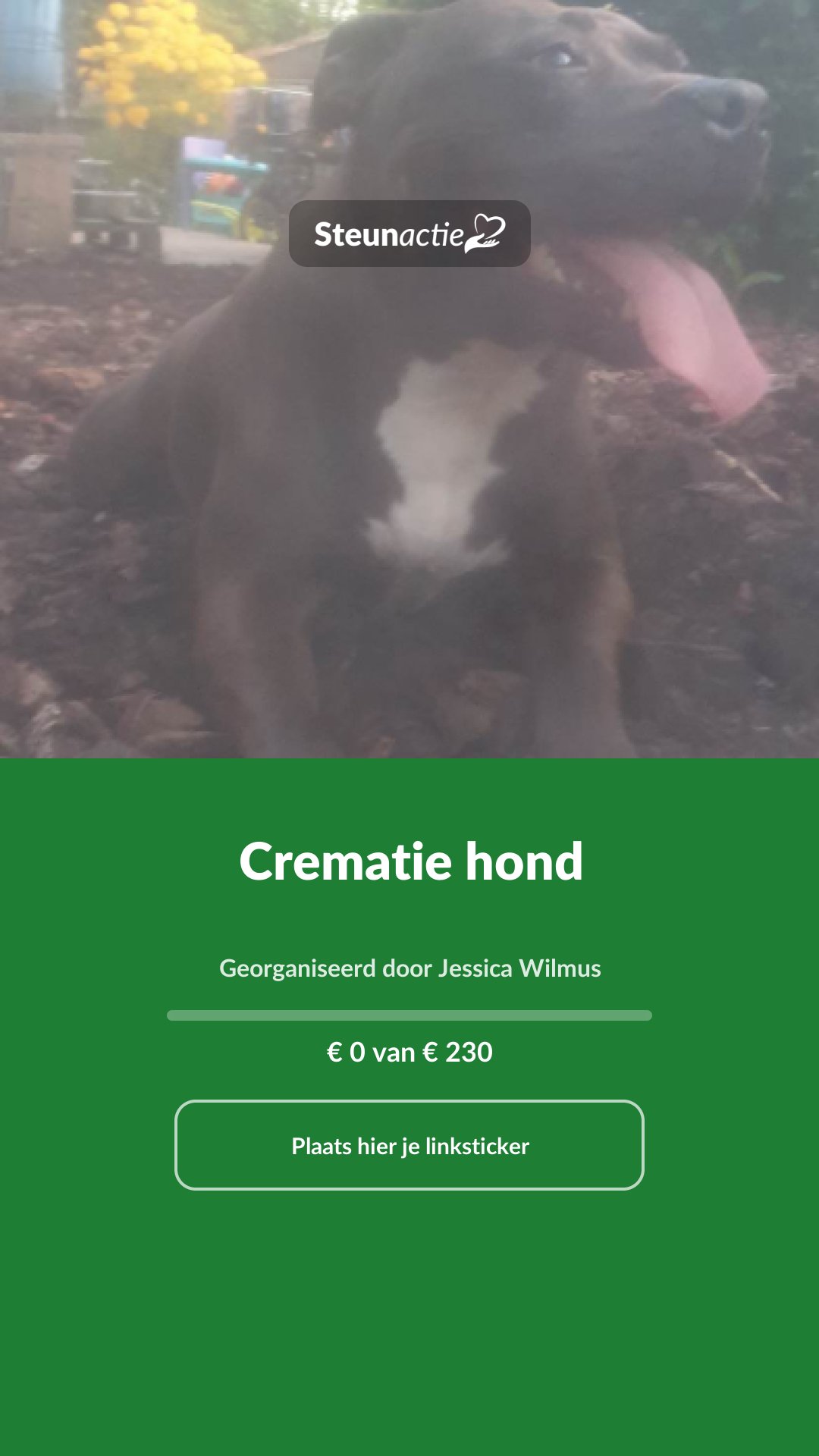 Voorbeeld van de afbeelding