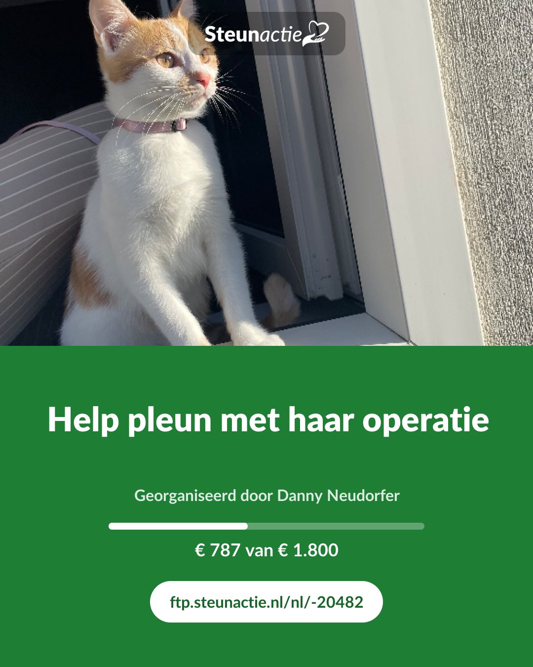 Voorbeeld van de afbeelding