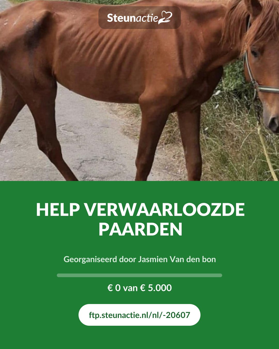 Voorbeeld van de afbeelding