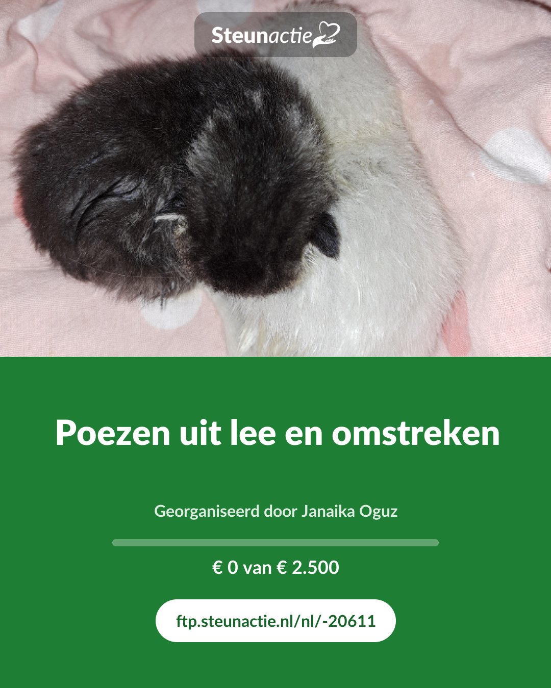 Voorbeeld van de afbeelding