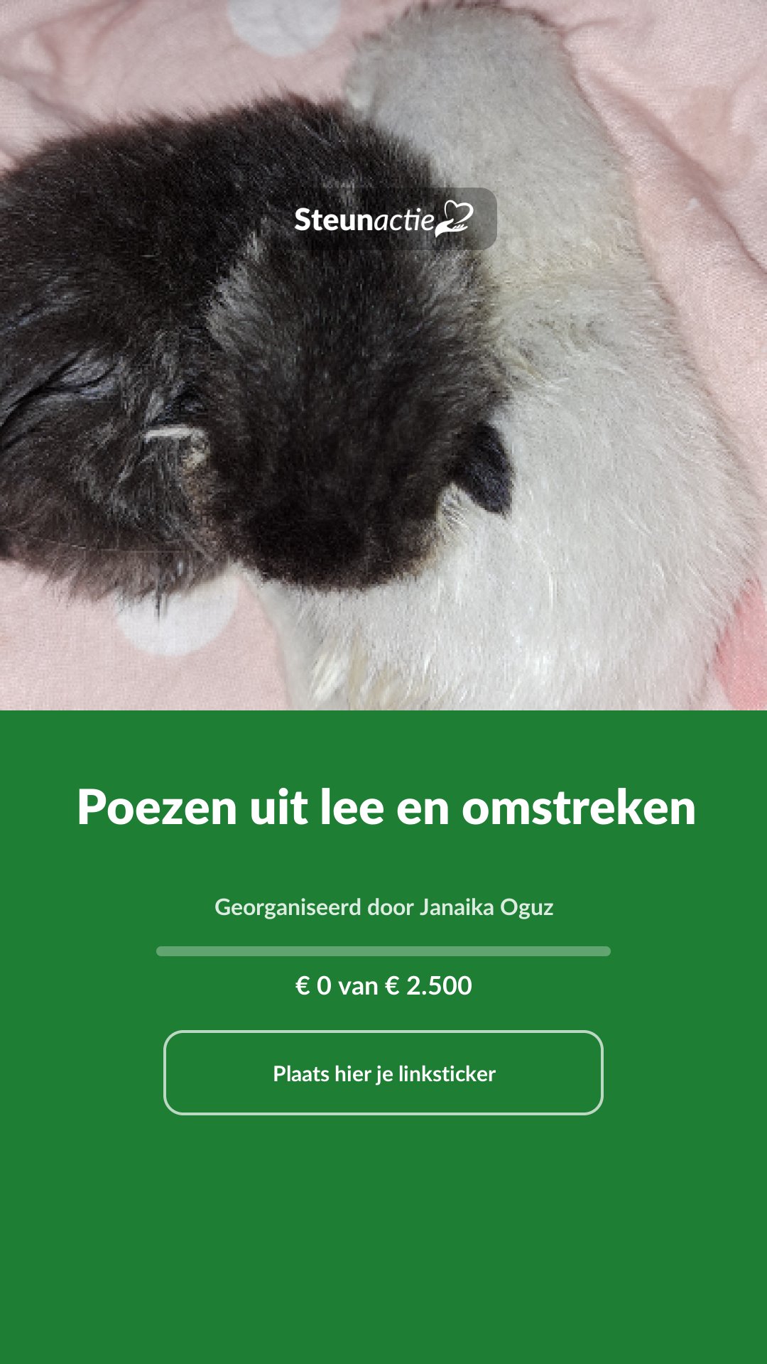 Voorbeeld van de afbeelding
