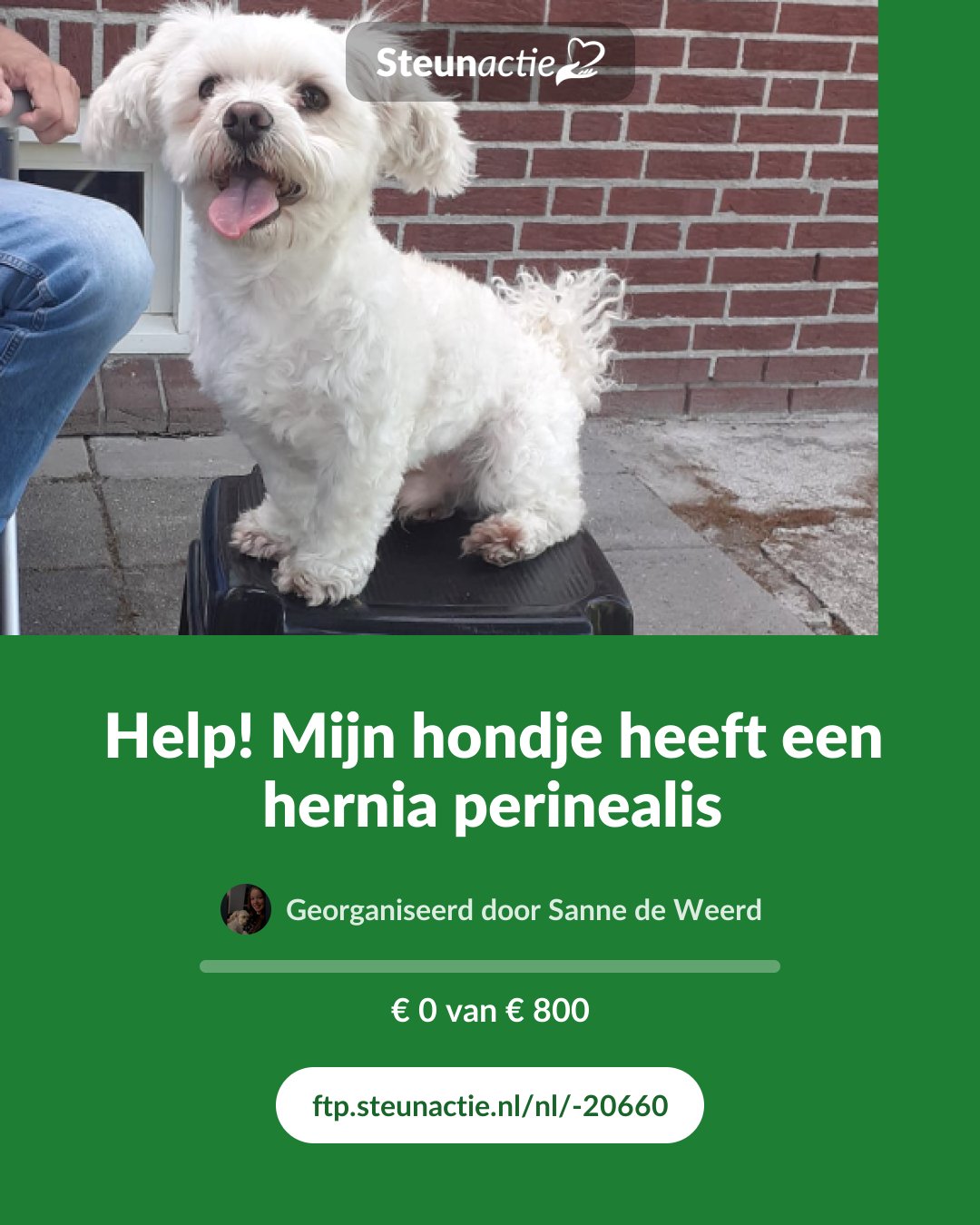 Voorbeeld van de afbeelding