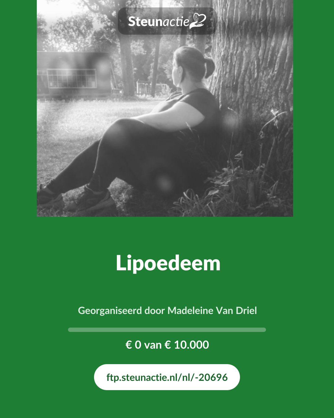 Voorbeeld van de afbeelding