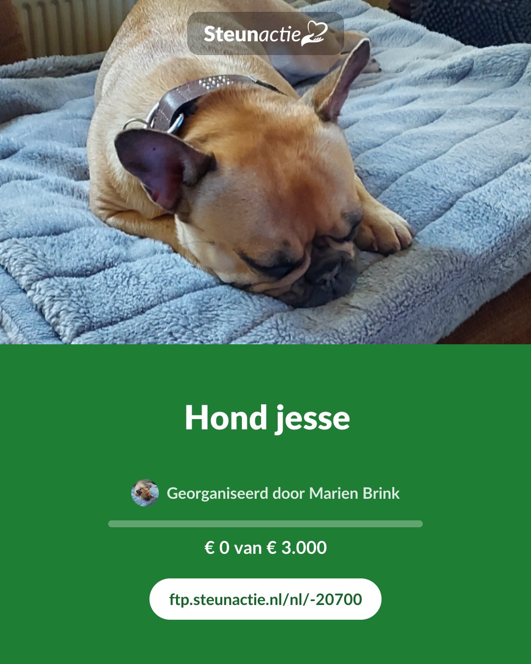 Voorbeeld van de afbeelding