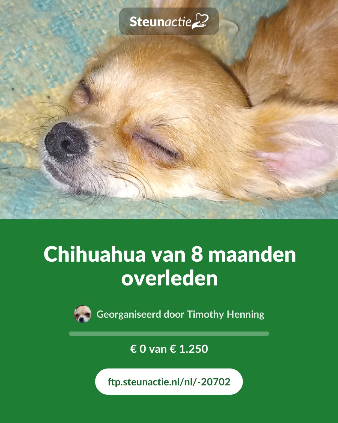 Voorbeeld van de afbeelding