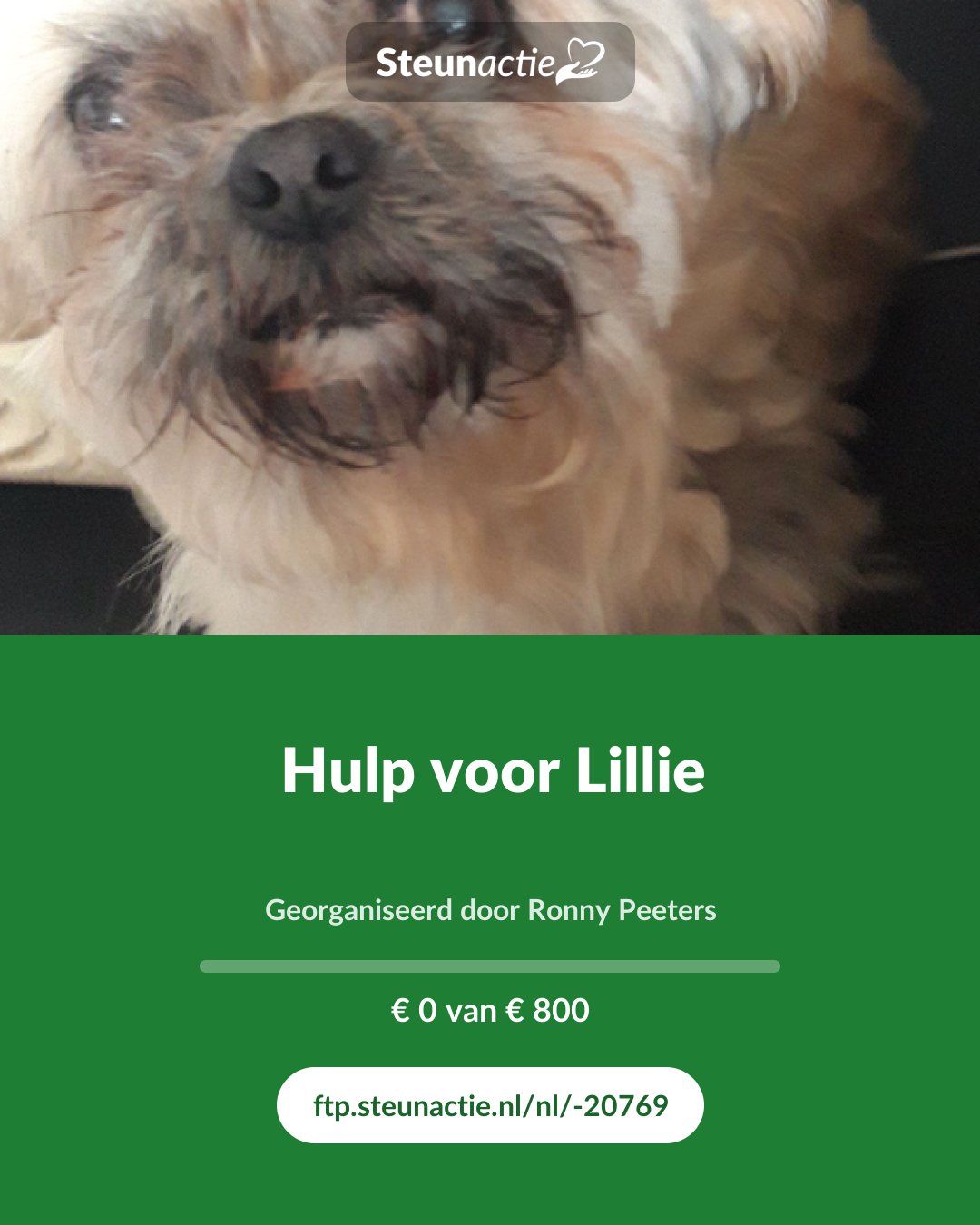 Voorbeeld van de afbeelding