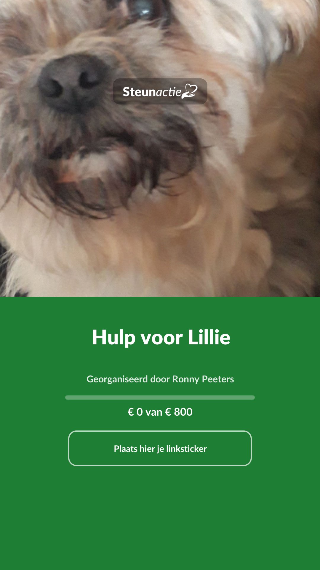 Voorbeeld van de afbeelding