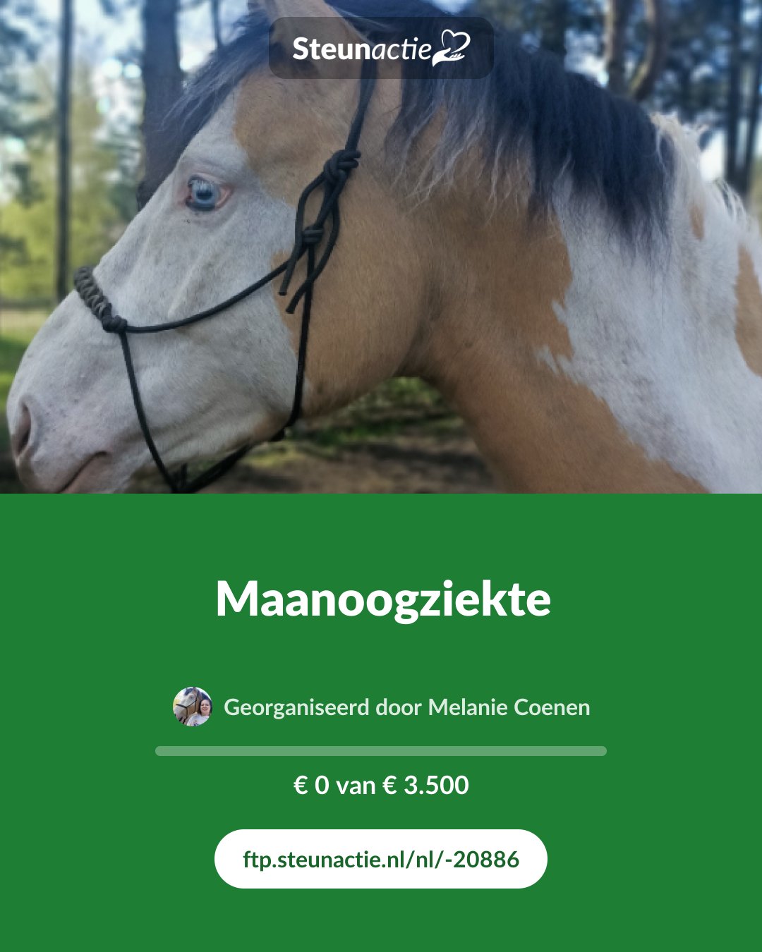 Voorbeeld van de afbeelding