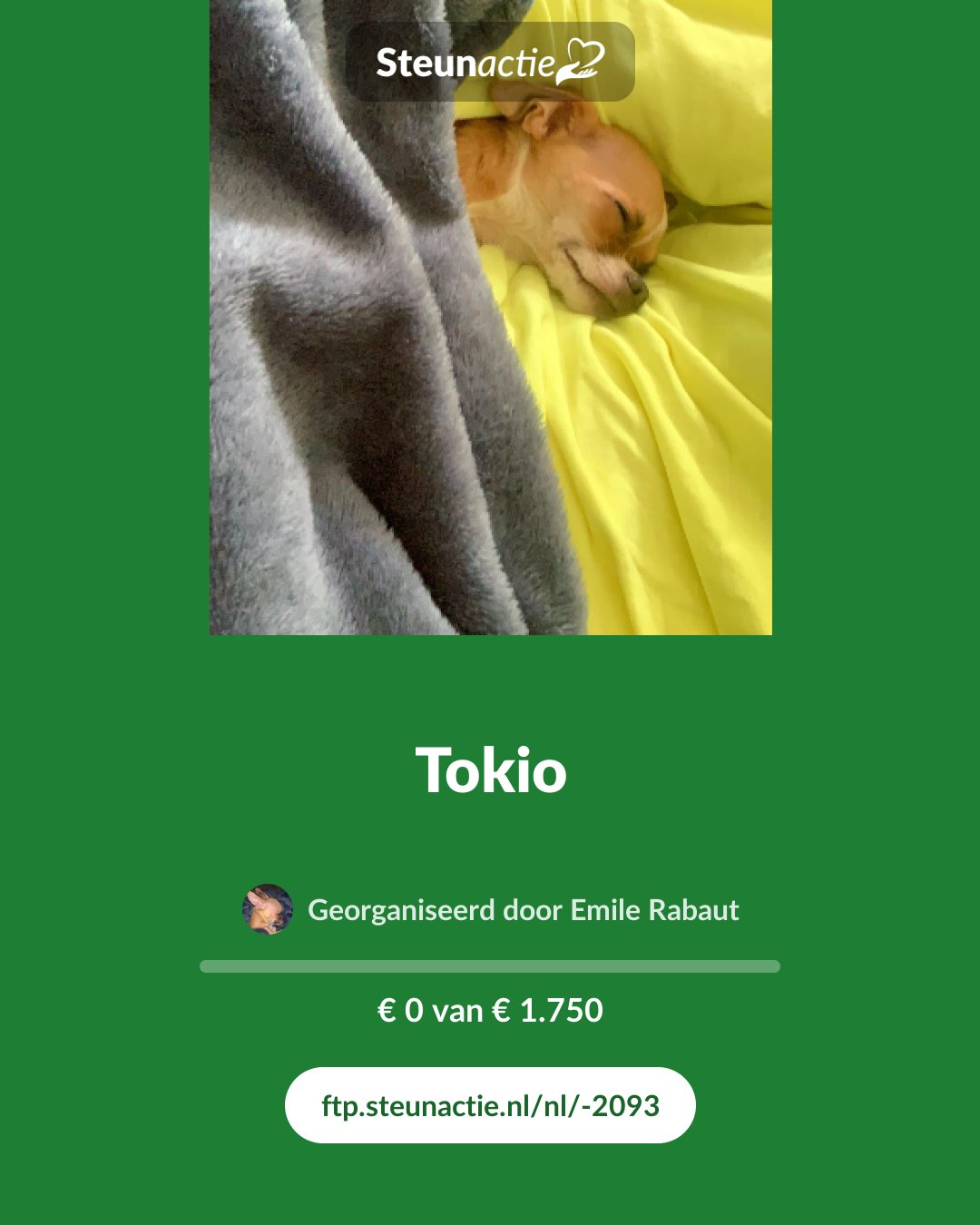 Voorbeeld van de afbeelding