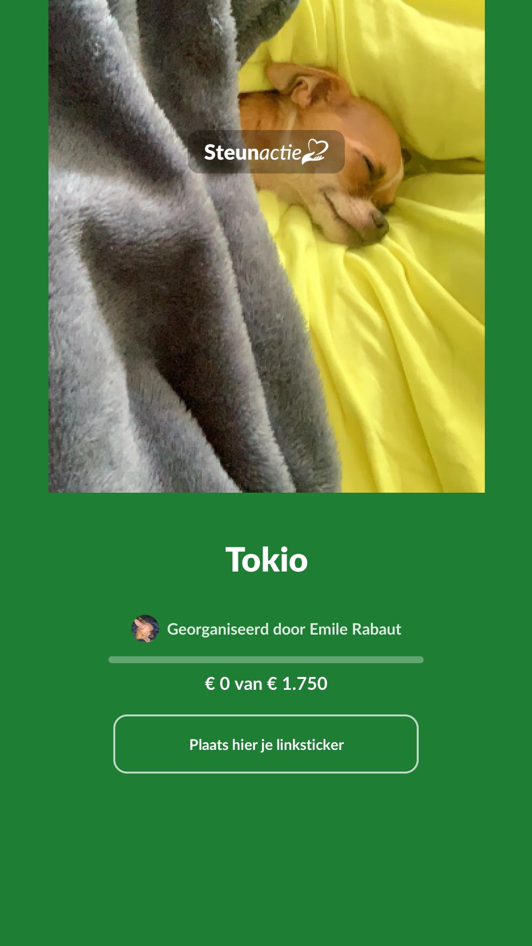 Voorbeeld van de afbeelding
