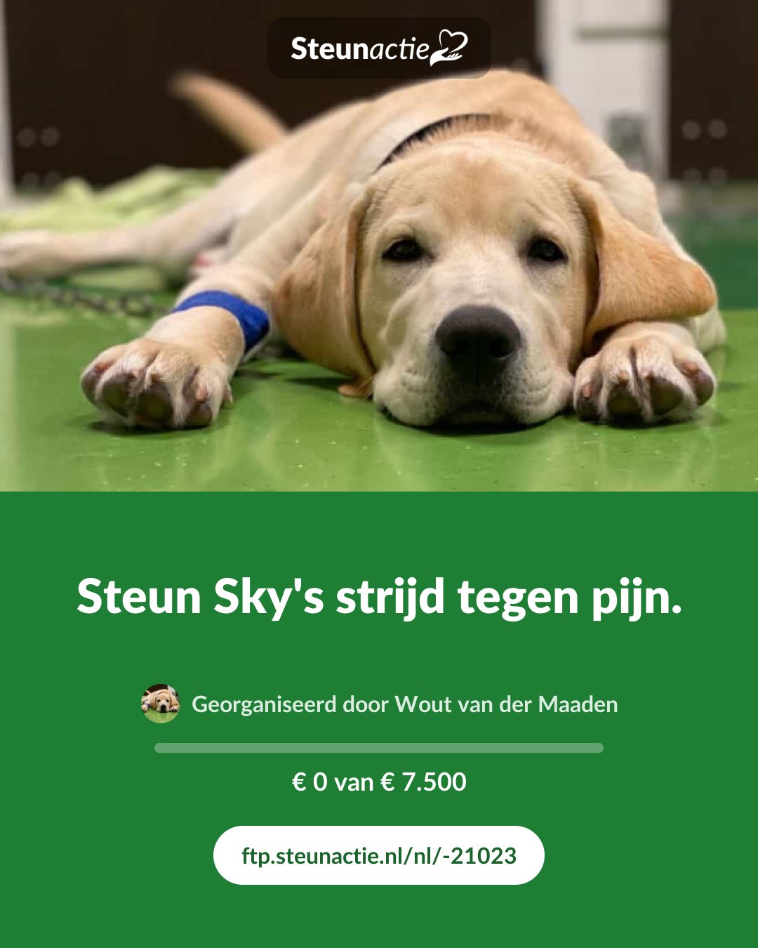 Voorbeeld van de afbeelding