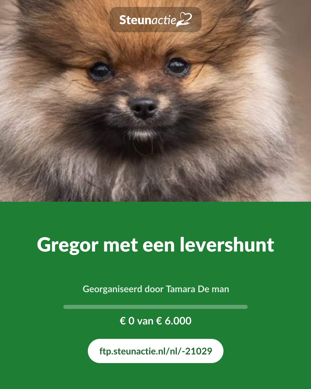 Voorbeeld van de afbeelding
