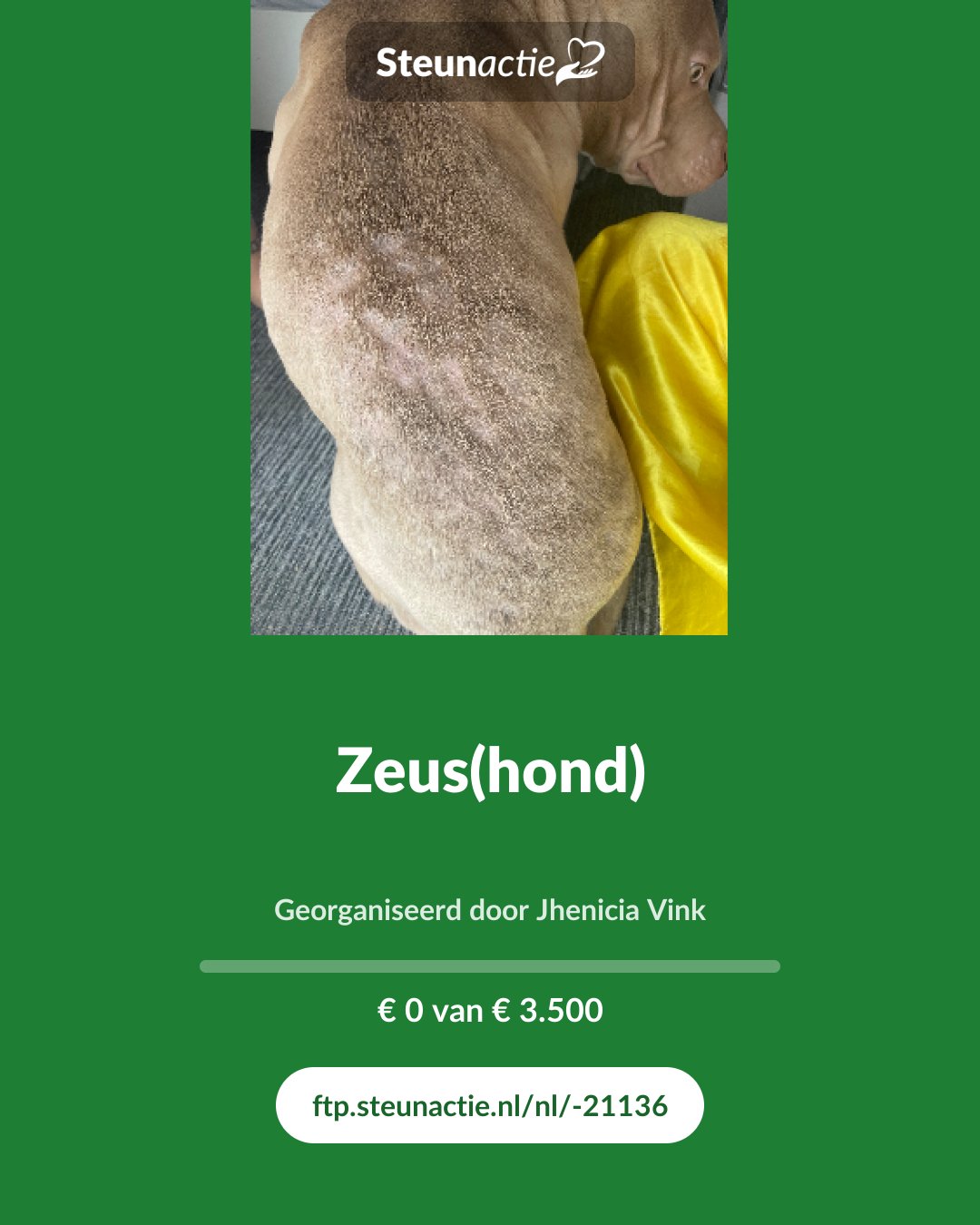 Voorbeeld van de afbeelding