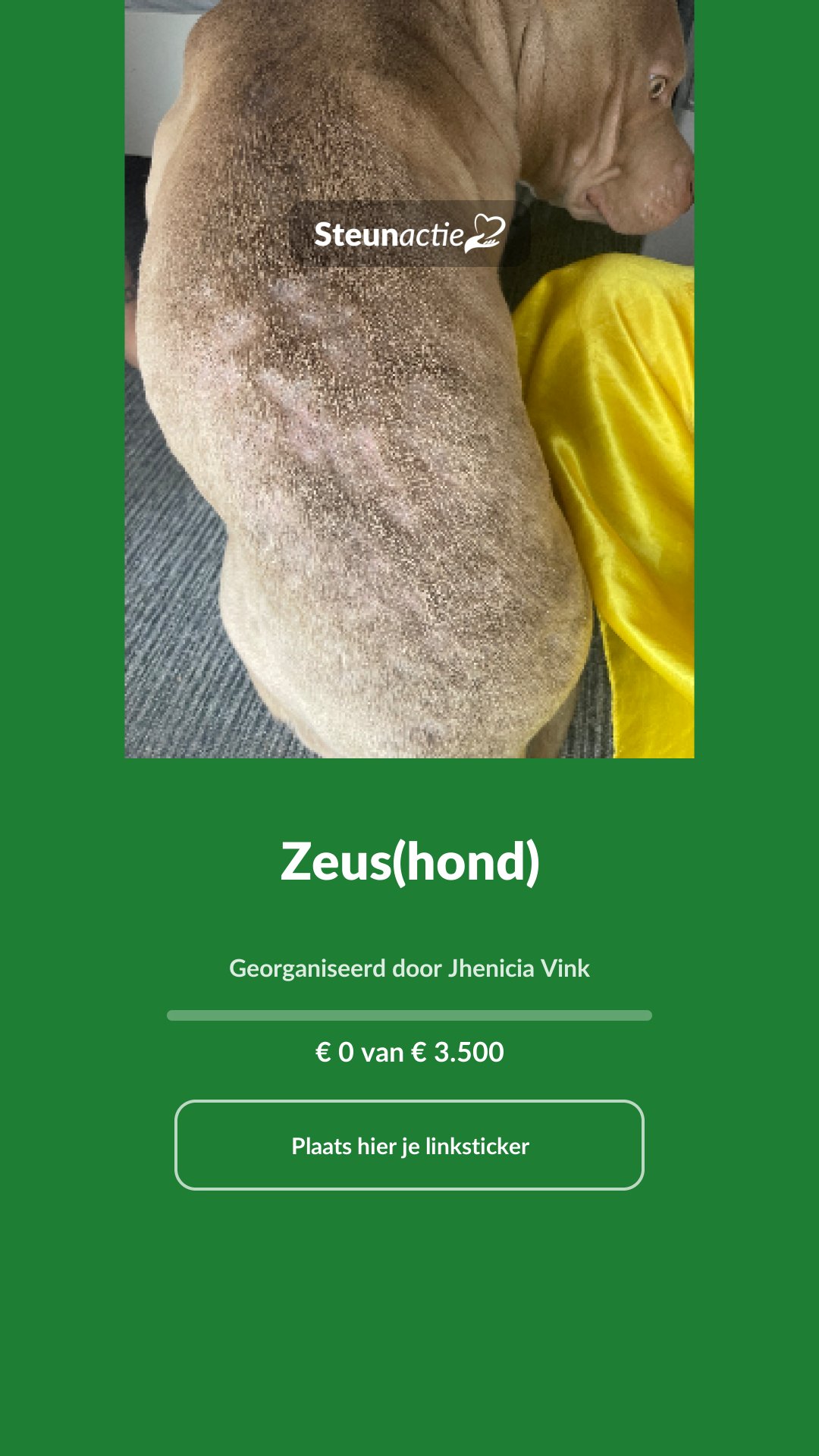 Voorbeeld van de afbeelding