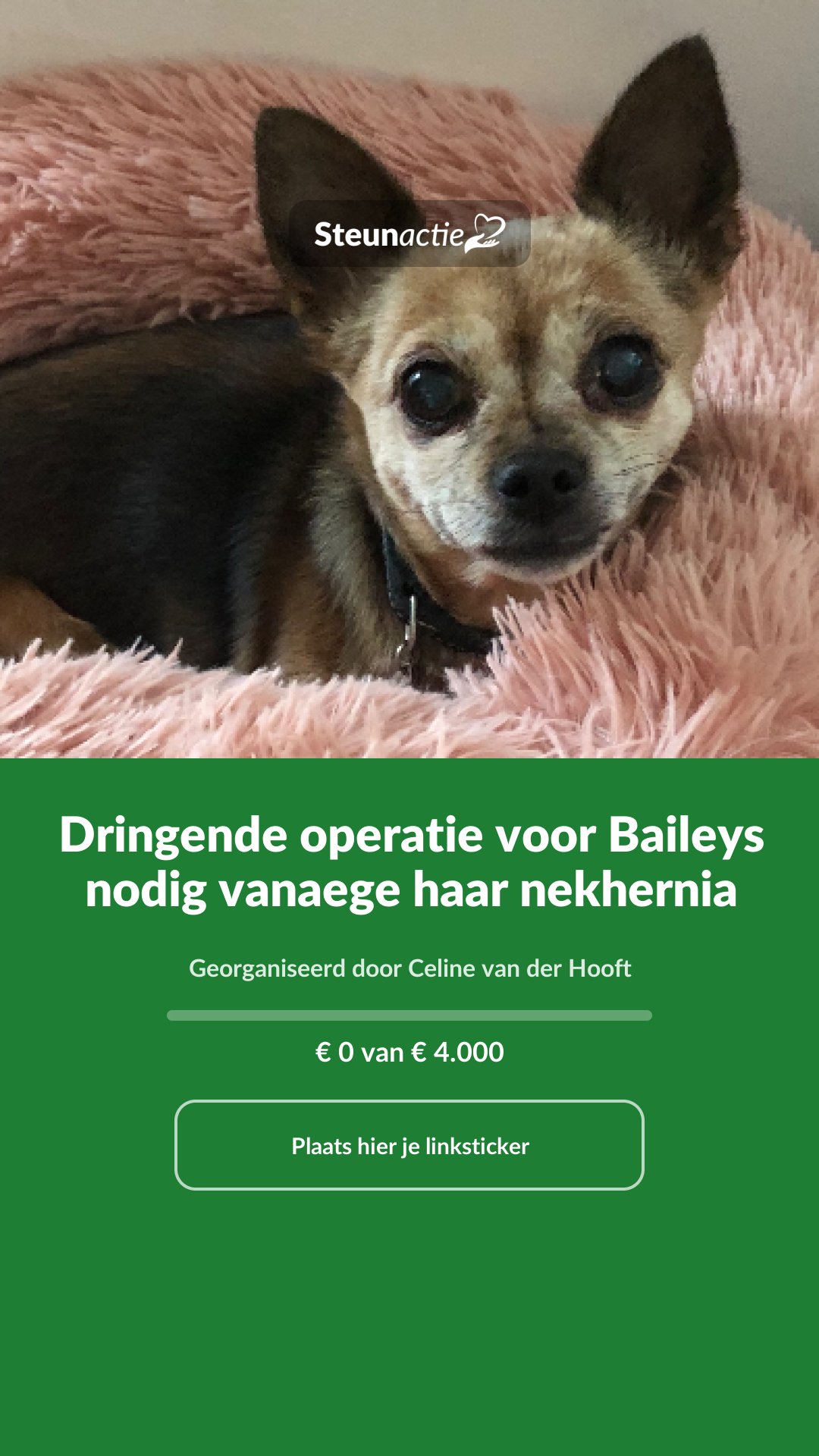 Voorbeeld van de afbeelding