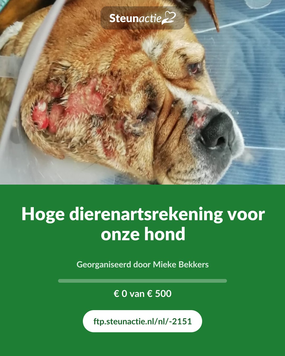 Voorbeeld van de afbeelding