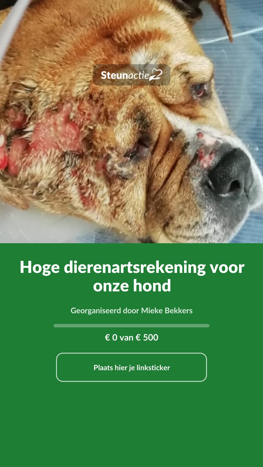 Voorbeeld van de afbeelding