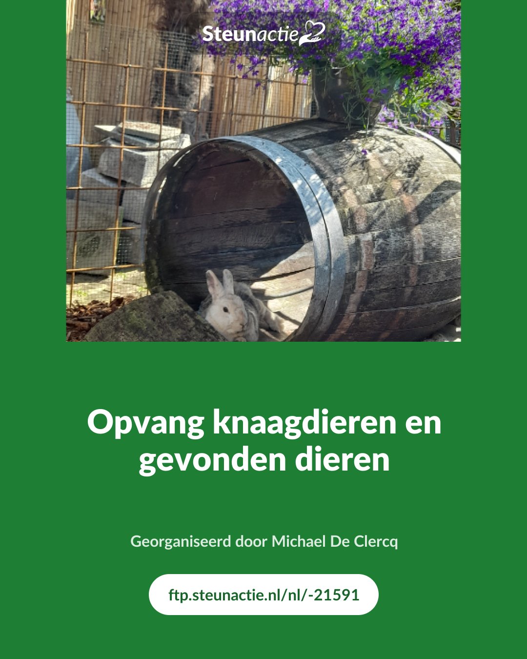 Voorbeeld van de afbeelding