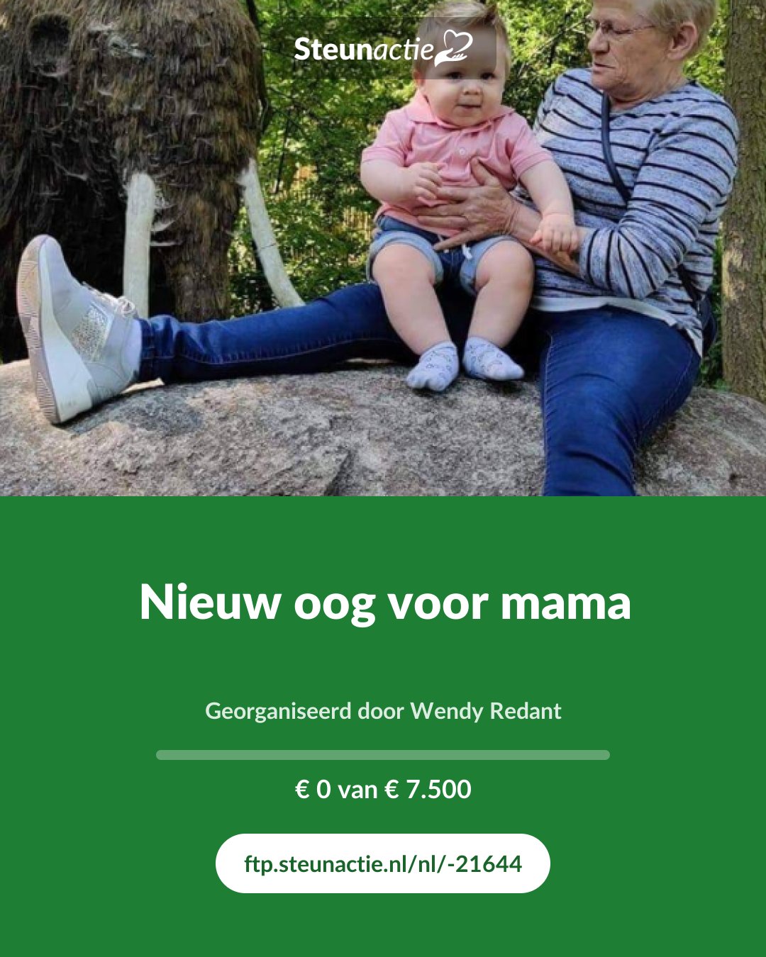 Voorbeeld van de afbeelding