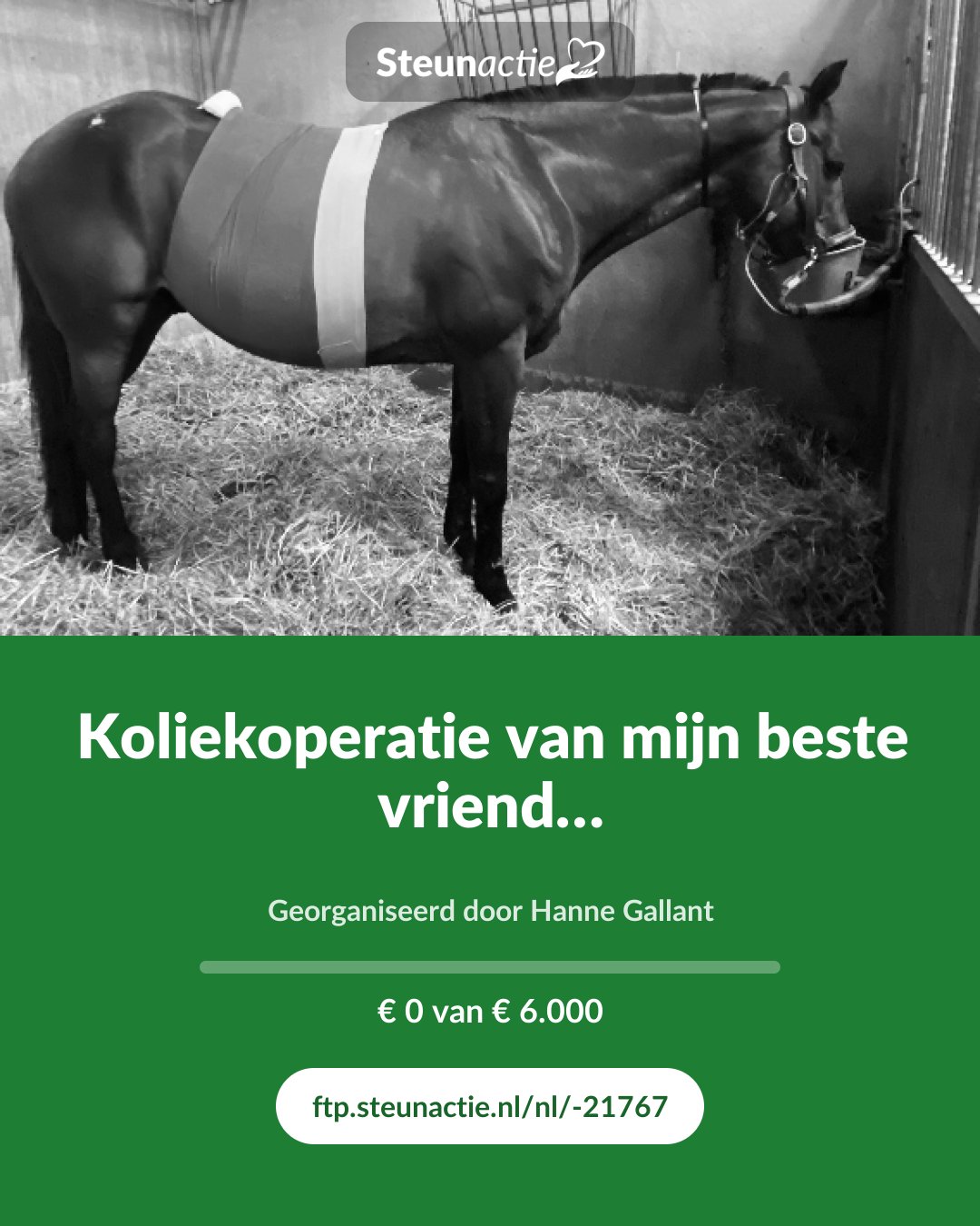 Voorbeeld van de afbeelding