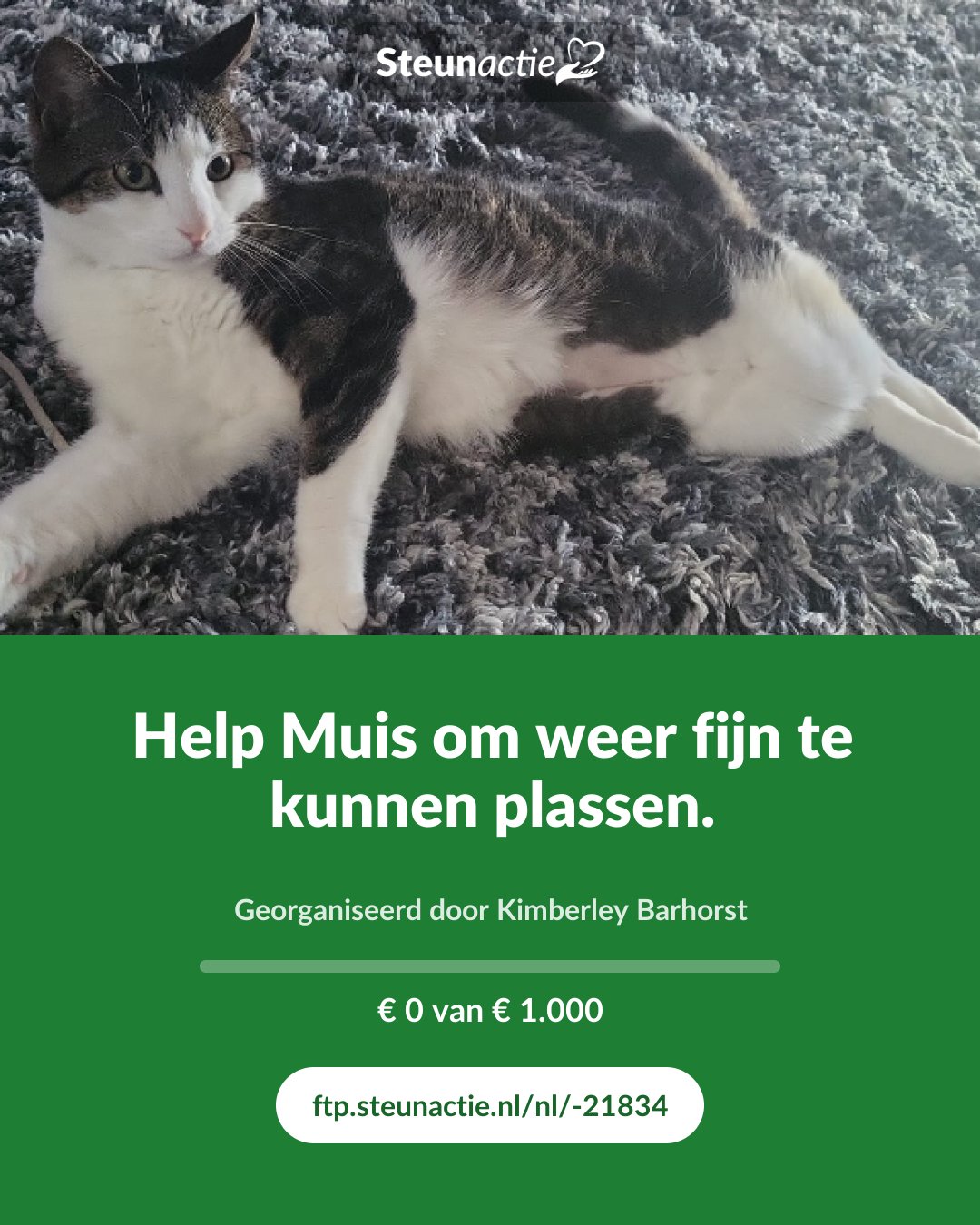 Voorbeeld van de afbeelding