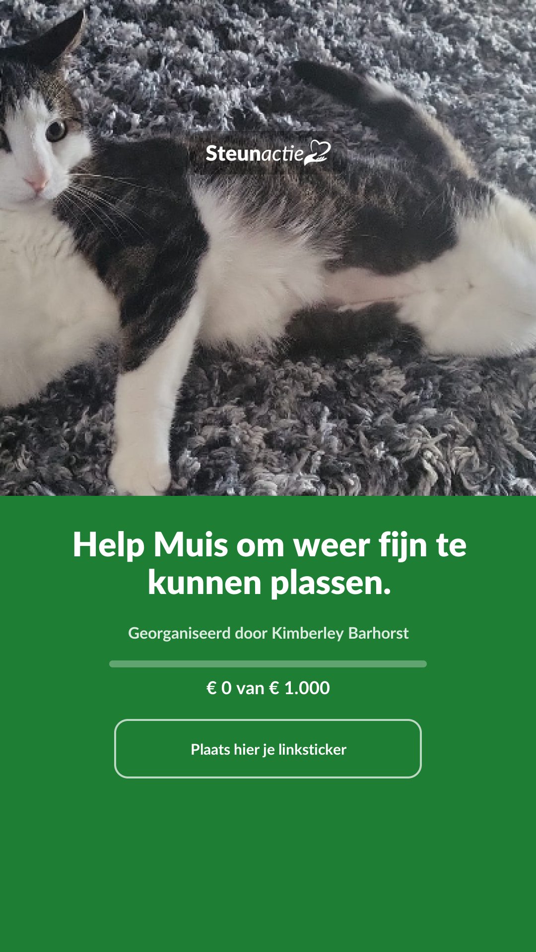 Voorbeeld van de afbeelding