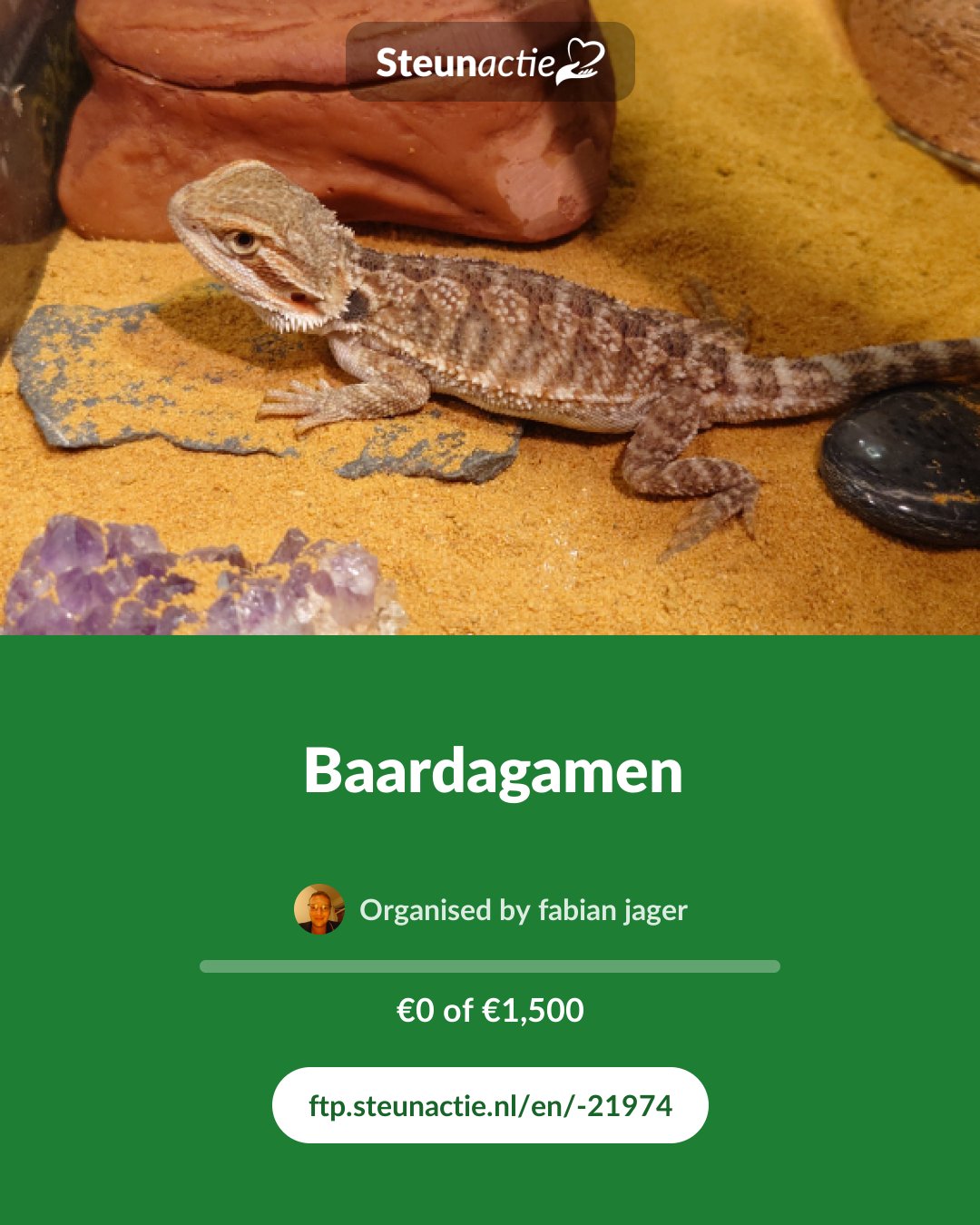 Preview of the image