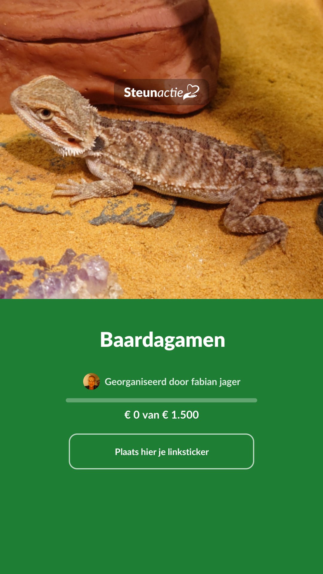Voorbeeld van de afbeelding