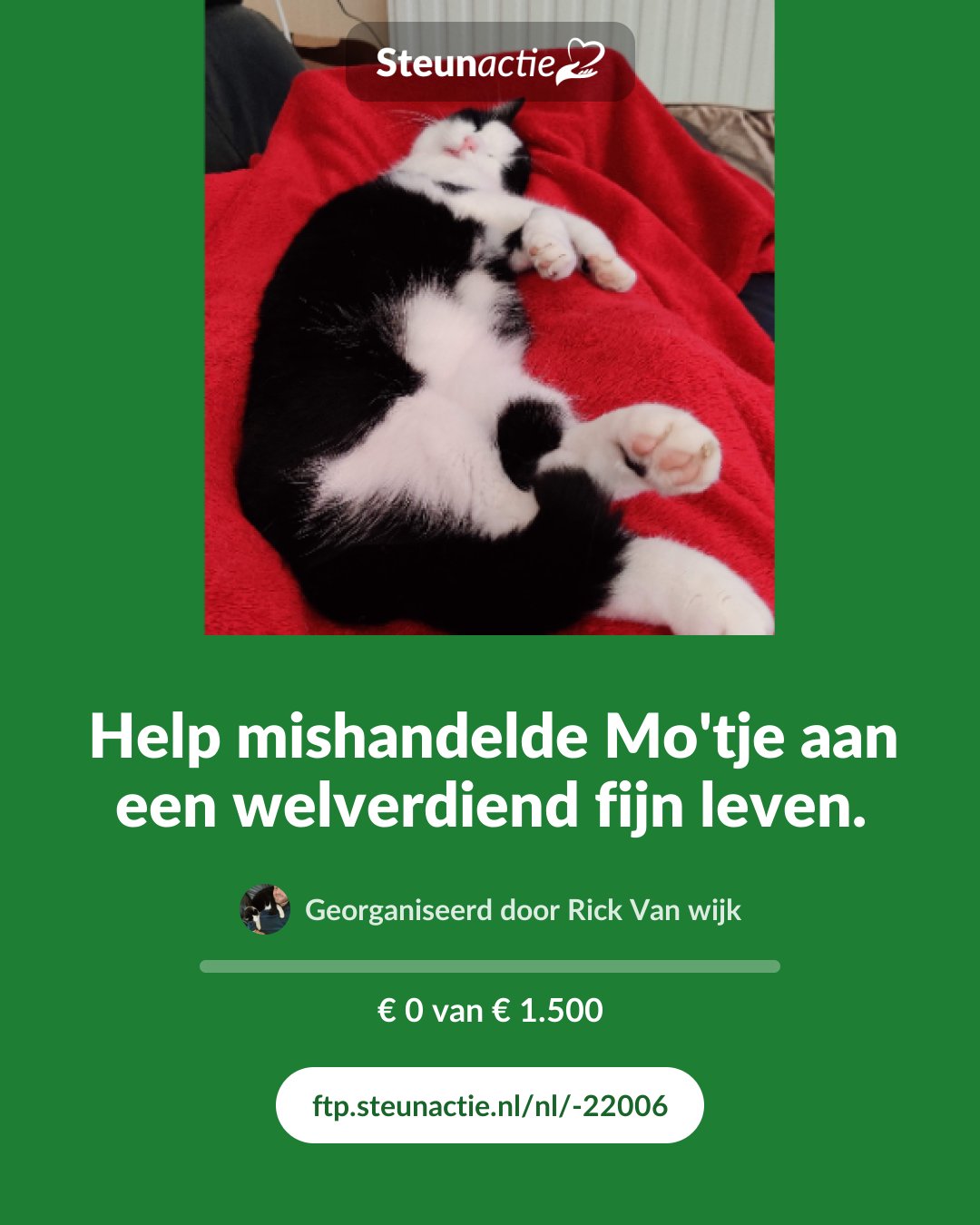 Voorbeeld van de afbeelding